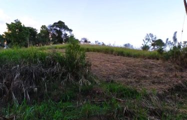 Land for Sale-kandy