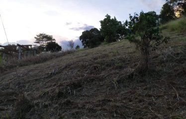 Land for Sale-kandy