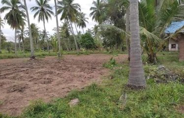 Land For Sale-Waraiyapola
