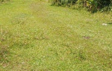 Land For Sale-Kurunegala- Dambulla Road