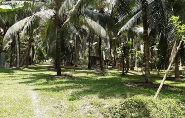 Land For Sale-Kurunegala