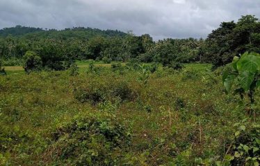 Land for sale -Horana