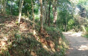 Land For Sale-Kandy